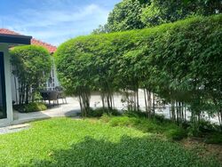 Turf Club Road (D11), Detached #466533251